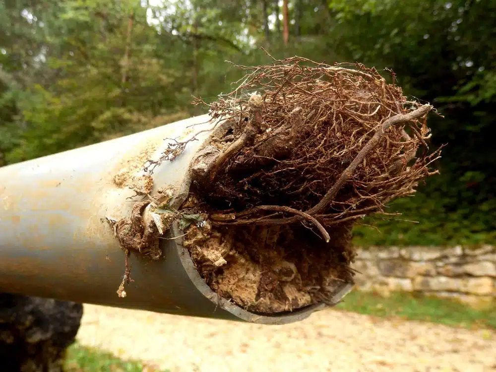 How To Clear Blocked Stormwater Pipes