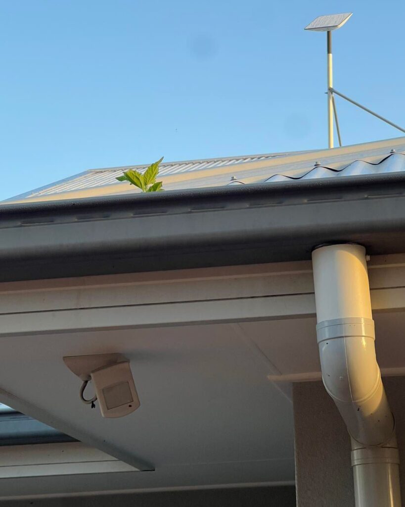 6 Signs That Your Gutters Need Cleaning