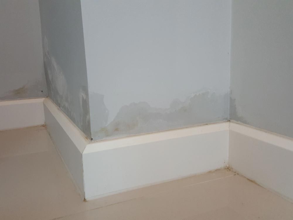How To Find A Water Leak Inside A Wall?